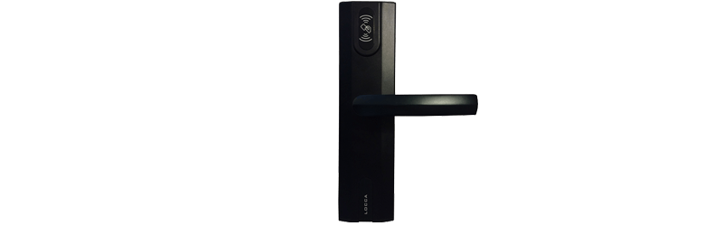 HL-60S1