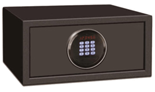 HS1243